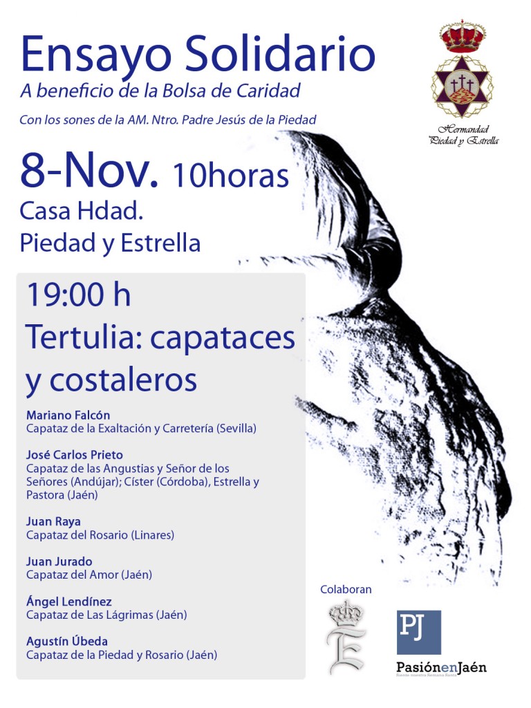 cartel ensayo solidario